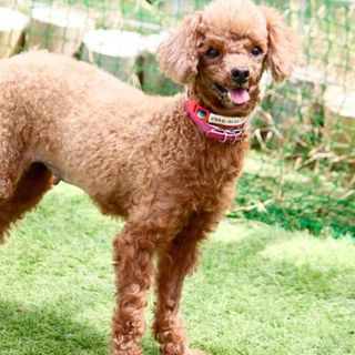 おっとりとした性格の抱っこ大好き女子