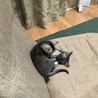 の写真