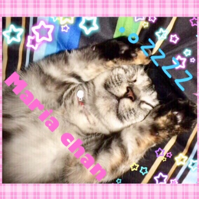 Rin0529のカバー写真
