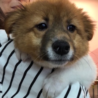 お問合せがあり一旦停止中です。