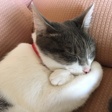 これは…脚クロスになるのかな？考えたまま寝落ち？