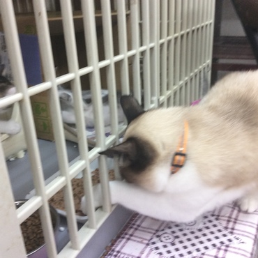 食いしん坊！