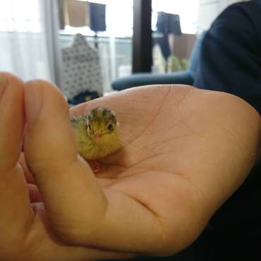 生まれた日です。