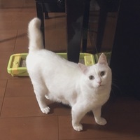 ミル