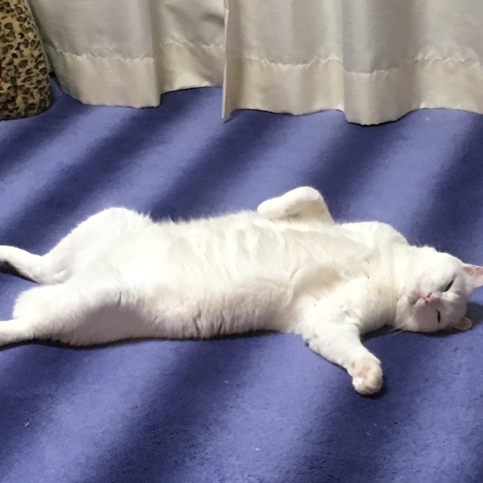 ミルのカバー写真