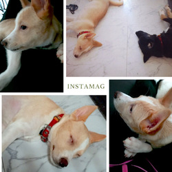 「おもちゃ」サムネイル2