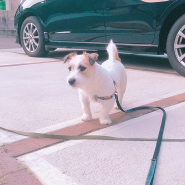 の写真