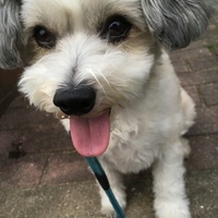 伸太郎