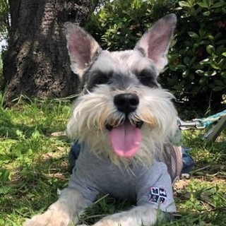 里親様決定　ラビ君