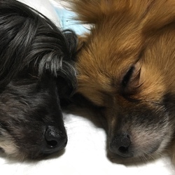 ありのままに・・╰(*´︶`*)╯♡