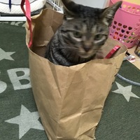 ろく