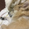 の写真