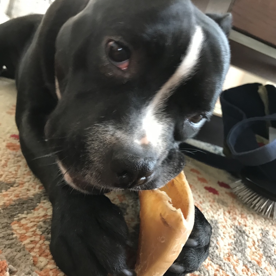 LOLLY ＊ローリーのカバー写真