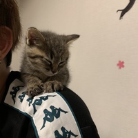 との