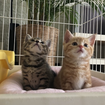 仲良しの弟と一緒♪