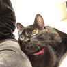 の写真