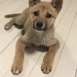 生後3ヶ月の元気いっぱいな女の子