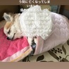 2019/5/26 GMEにて死亡
