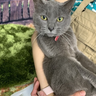 甘えん坊の1歳の女の子