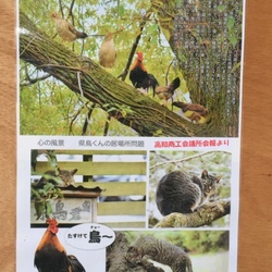 「飼い主の休日 in 高知」サムネイル2