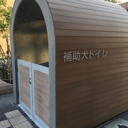 「飼い主の休日 in 高知」サムネイル3