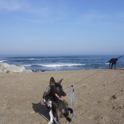 「初☆海！」サムネイル2