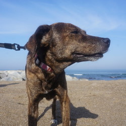 「初☆海！」サムネイル3