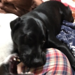 「なぜ出会ったのか？」サムネイル2