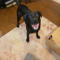 「なぜ出会ったのか？」サムネイル3