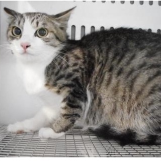 愛護団体様が引き出してくださいました。