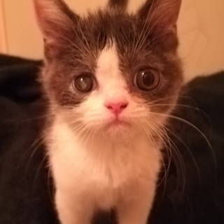 二ヶ月男の子マーチ君