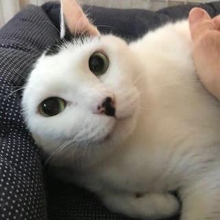 ま～るくなったわよ。チャチャ。