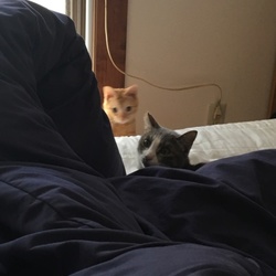 アッちゃん、ハルカを受け入れる