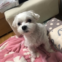 まる