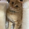 の写真