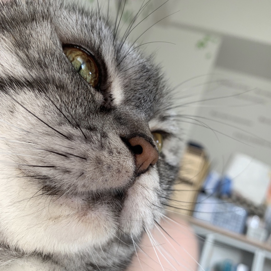 みことのカバー写真