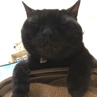 てつを