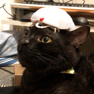 安全よーし
