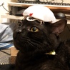 安全よーし