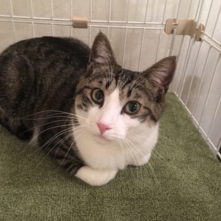 ♪明るく甘えん坊の湊くん♪