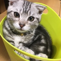 べべ
