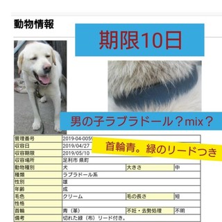 ラブmixかまってちゃん。キャンセルなり緊急募集