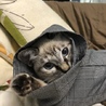 きなこな