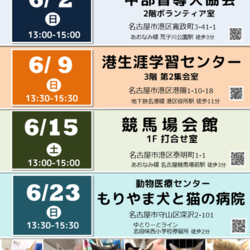 ▼猫の譲渡会▼名古屋市守山区 サムネイル3