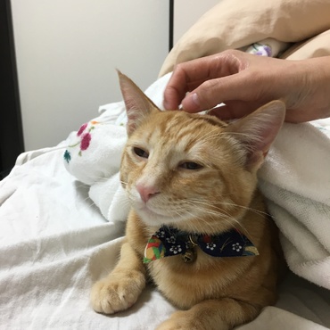 ごろスリちゃん