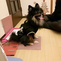 元気いっぱいの男の子です