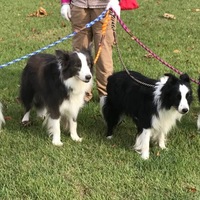 ラル・ノア・ニナ・ロウ