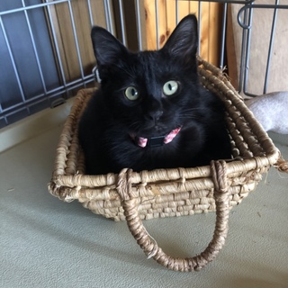 抱っこ大好きな  にちかちゃん 大坂へ