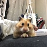 サ ト ウ