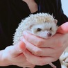 なぎこ。